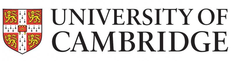 CAM logo
