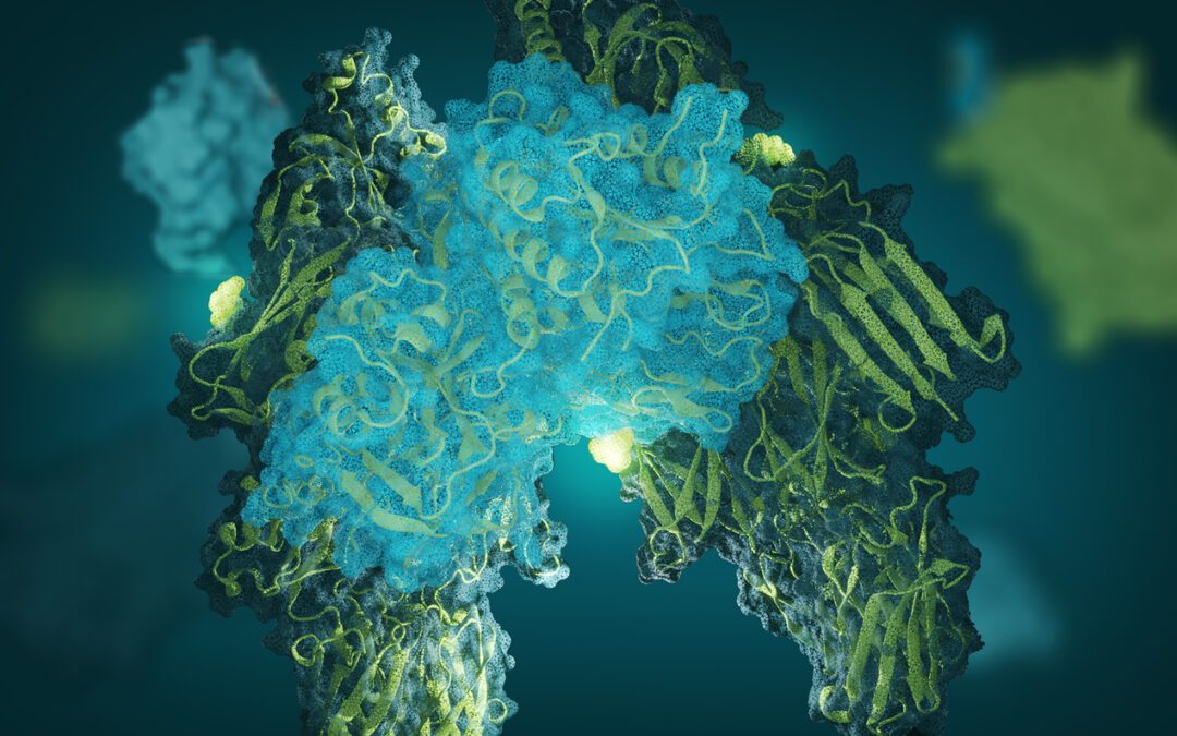 Non-hypothesis-driven identification of protein glycation in diabetes