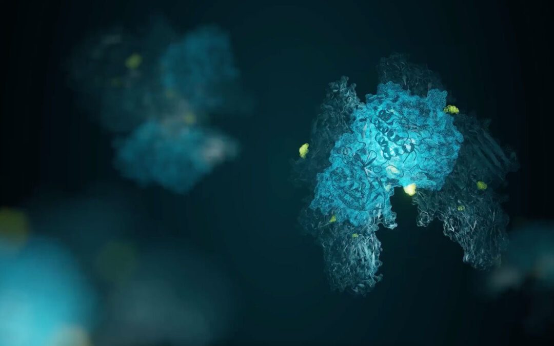 Where is my protein labelled?