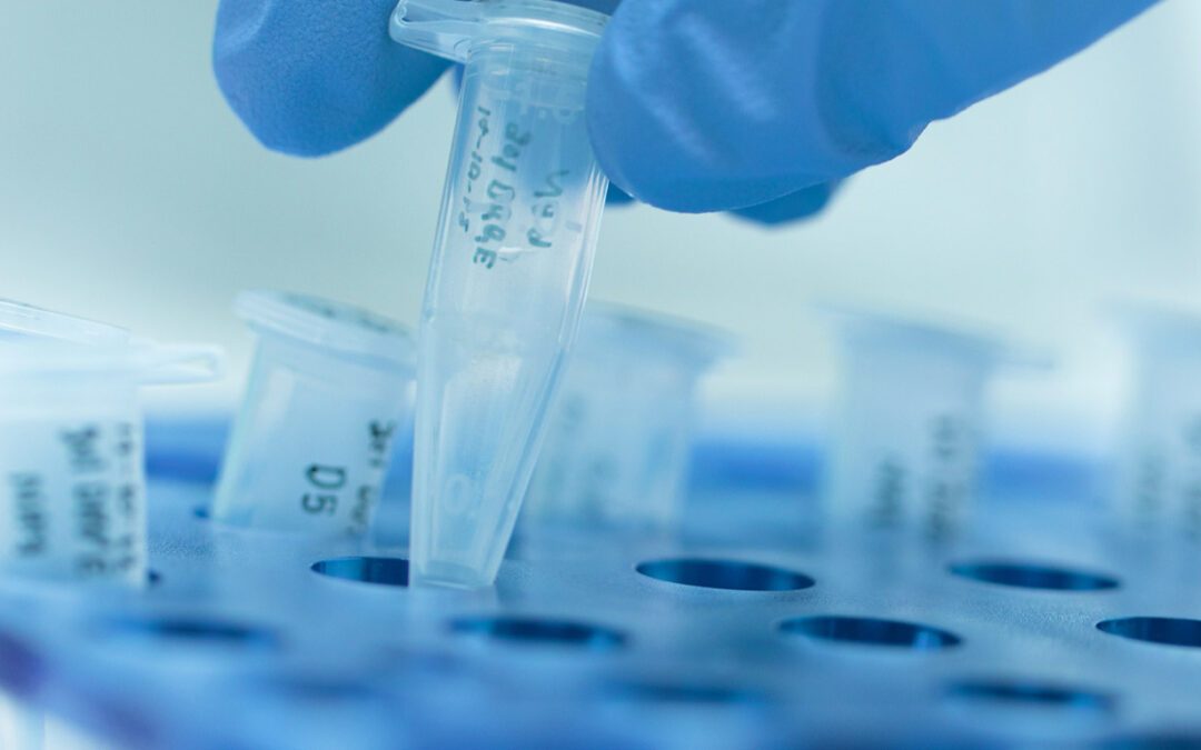 Delving into proteoforms with higher throughput