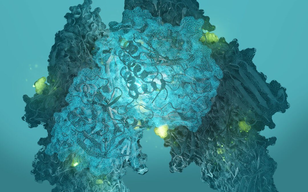 Combined analysis of cleavage sites and glycosylation in a complex mixture