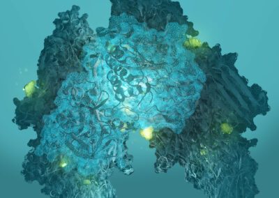 Combined analysis of cleavage sites and glycosylation in a complex mixture